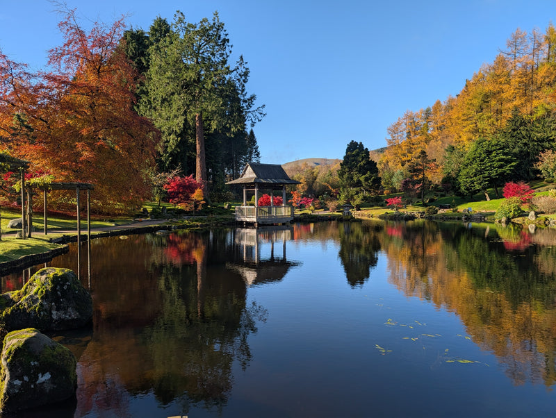 *2026 Cowden Calendar