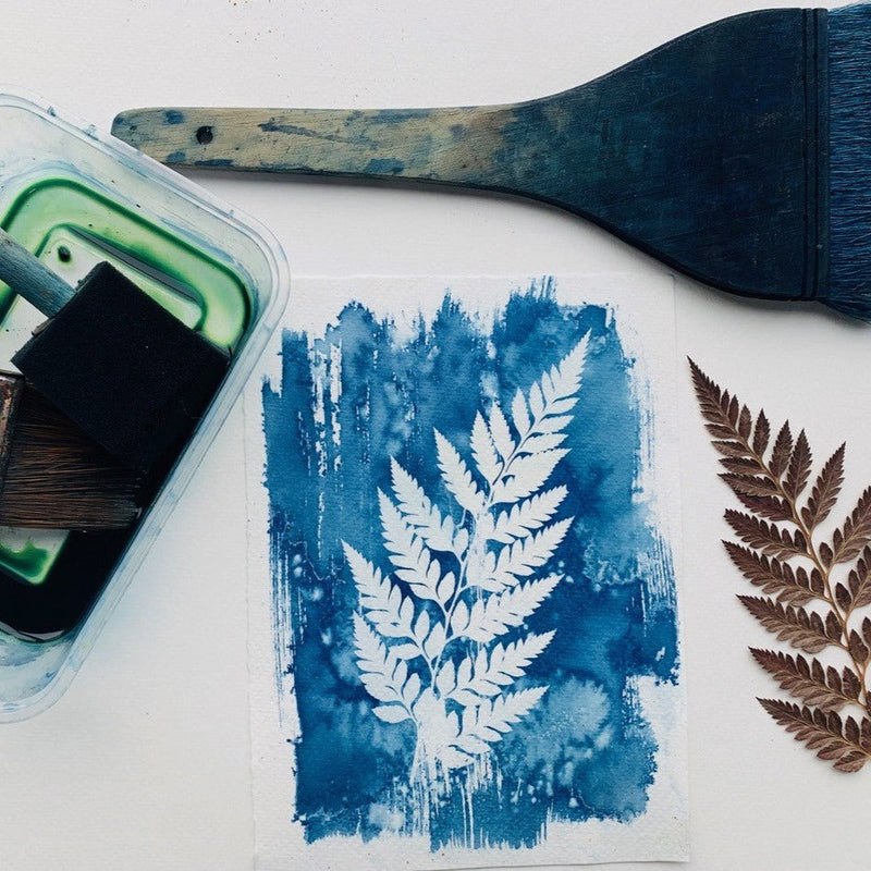 Cyanotype Workshop (23/08/2025) Afternoon