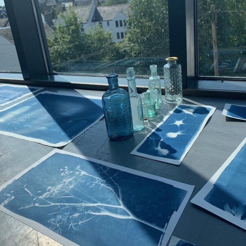 Cyanotype Workshop (23/08/2025) Afternoon
