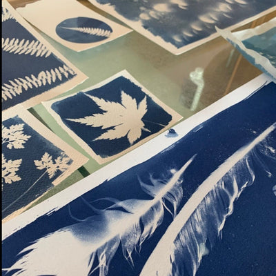 Cyanotype Workshop (23/08/2025) Afternoon