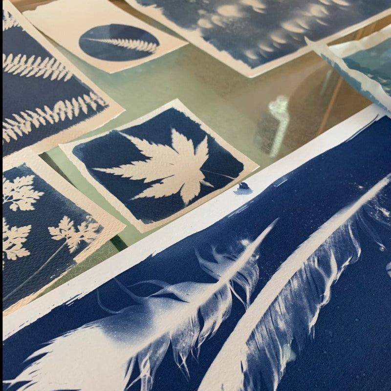 Cyanotype Workshop (23/08/2025) Afternoon